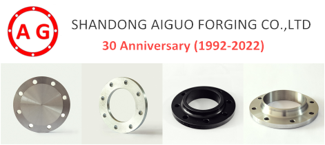 AG Flange – propagácia karnevalu k 30. výročiu!